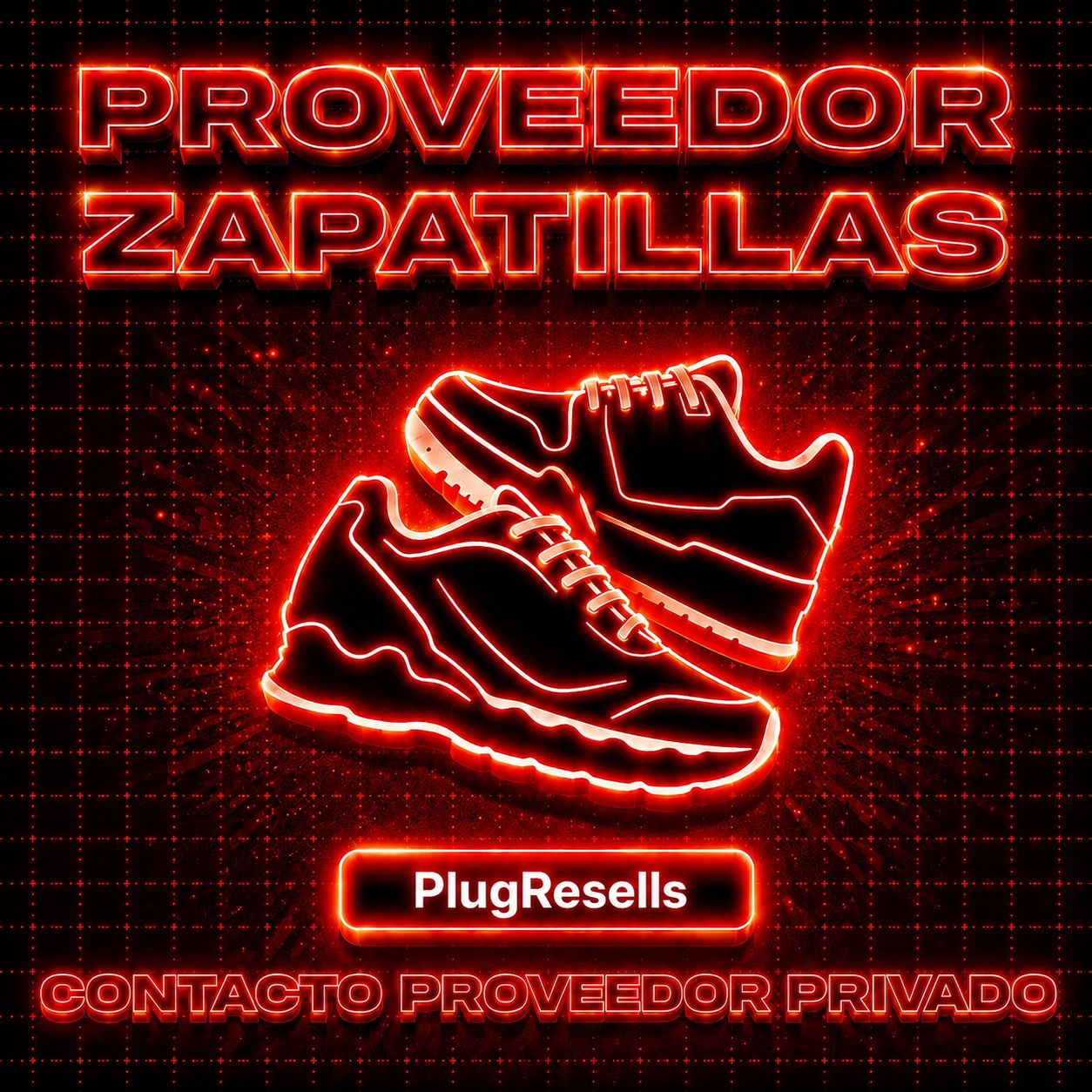 Proveedor Zapatillas